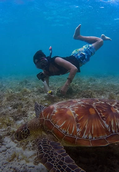 Chileno Bay Snorkel Cruise